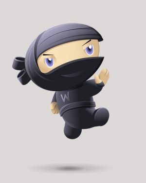 Ninja Silhouette